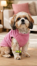 Roupa Suéter Roupinha Vestidinho Para Cachorros E Gatos Verão 100% Poliéster