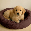 cama cachorro gato pet redondo nuvem espuma
