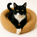 cama cachorro gato pet redondo nuvem espuma