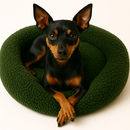 cama cachorro gato pet redondo nuvem espuma