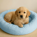 cama cachorro gato pet redondo nuvem espuma