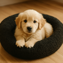 cama cachorro gato pet redondo nuvem espuma