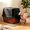 Caixa de Areia Fechada para Gatos Antiodor Premium.