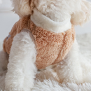 Roupas Para Animais De Estimação Colete Fofo De Outono E Inverno Cães Gatos De Fivela De Reboque Com Padrão De Urso